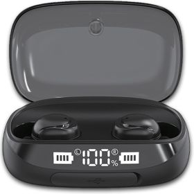 TWS True Bluetooth 5.0 Wireless Earbuds with 2000mAh Charging Case (Color: BLACK)
